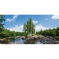 thumbnail image 1 of Biggies WM-TRE-120 Papiers Peints - Arbre - Extra Large, 1 of 1