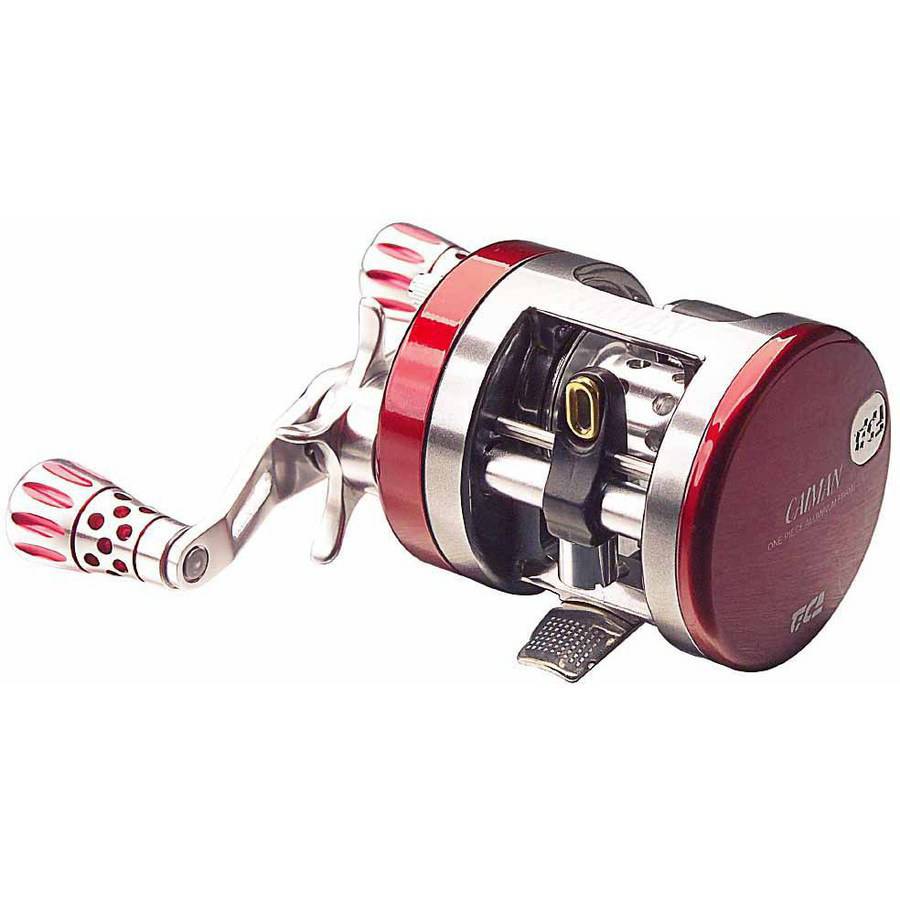 best reel for sea bass fishing in washington The Best Baitcasting Reels Under $100