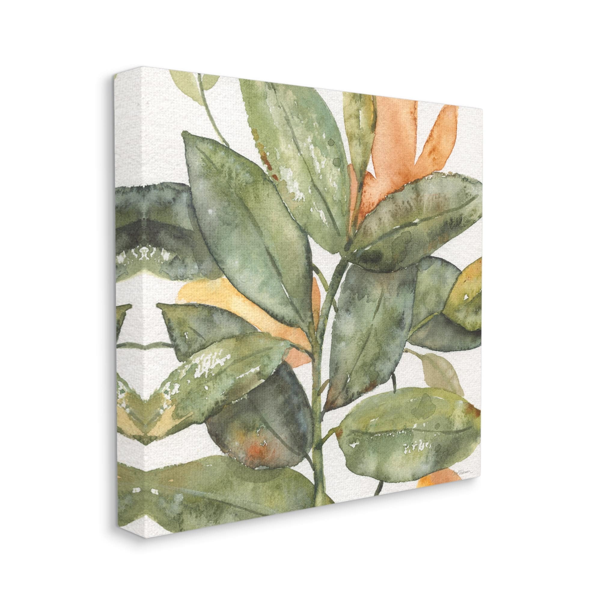 Stupell Industries Botanical Leaves Watercolor Plant Botanical & Floral Painting Gallery Wrapped Canvas Print Wall Art