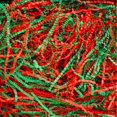 thumbnail image 1 of Relleno de papel arrugado Uptotop, 225 g, rojo y verde, 1 of 7