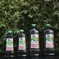 thumbnail image 4 of TIKI® Brand 100 oz. BiteFighter Torch Fuel with Easy Pour System 2-pack, 4 of 5