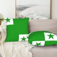 thumbnail image 7 of Flag Of Esperanto Couch Square Decorative Throw Pillow Covers Set of 2 for Sofa Bed Cushion Covers Home Decor 16"x16", 7 of 7