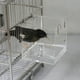 thumbnail image 5 of Bird Bañera Lovebird Parrot Jau Zulema Baño para pájaros para jaula, 5 of 7