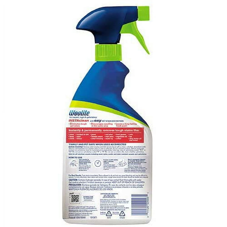 Woolite Instaclean Oxy Pet Stain Remover with Brush - Shop Carpet &  Upholstery Cleaners at H-E-B