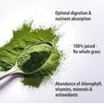 thumbnail image 3 of (Pack Of 4) Organic Traditions Superfood Wheat Grass 5.3 Oz, 3 of 3