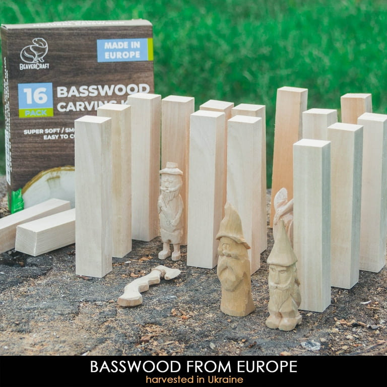 BeaverCraft BW16 pcs Basswood Carving Blocks Carving Wood Carving Wood  Whittling Wood Bass to Carve Wood Carving Kit for Beginners Basswood Blocks  Whittle Kit Unfinished Wood Blocks Craft Widdling Kit 