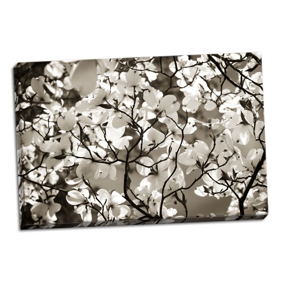 Gango Home Decor Blossoms I by Alan Hausenflock (Ready to Hang); One 36x24in Hand-Stretched Canvas