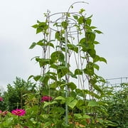 Gardens Alive! Galvanized Steel Bean Support Tower - Can support up to 12 plants - 6 ft tall x 30 In Diameter