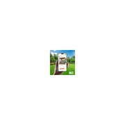 Backyard Discovery Saxony 8x5 Cedar Wood Grill Gazebo, Galvanized Steel Roof, Bar Tops