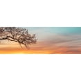 thumbnail image 3 of Frank, Assaf 18x9 Black Modern Framed Museum Art Print Titled - Branches at sunset, 3 of 5