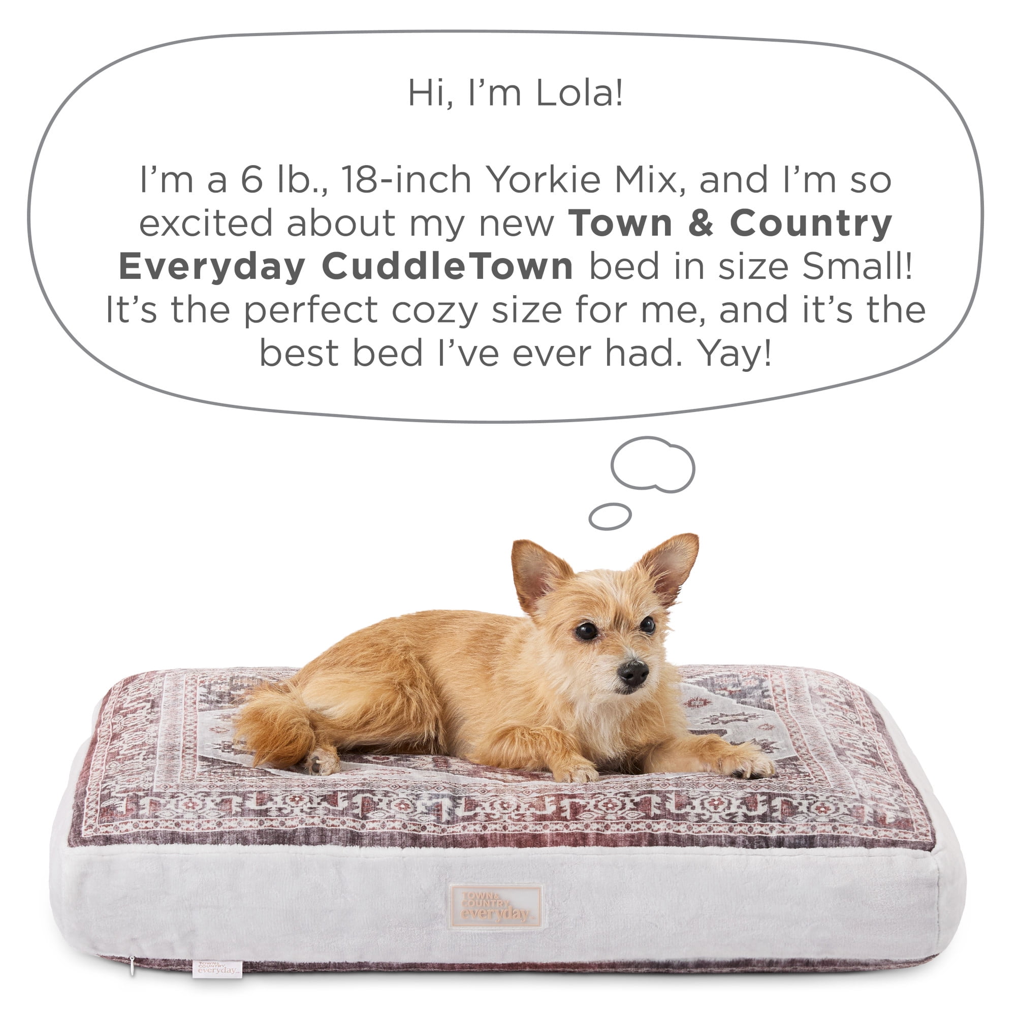 TOWN & COUNTRY EVERYDAY CuddleTown Medallion Everwash® Pillow Pet Bed, Water Repellent Floor Pillow, Machine Washable Cover, Soft & Calming, Red/Greige, Small 28"x22"x4"