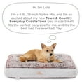 thumbnail image 6 of TOWN & COUNTRY EVERYDAY CuddleTown Medallion Everwash® Pillow Pet Bed, Water Repellent Floor Pillow, Machine Washable Cover, Soft & Calming, Red/Greige, Small 28"x22"x4", 6 of 7