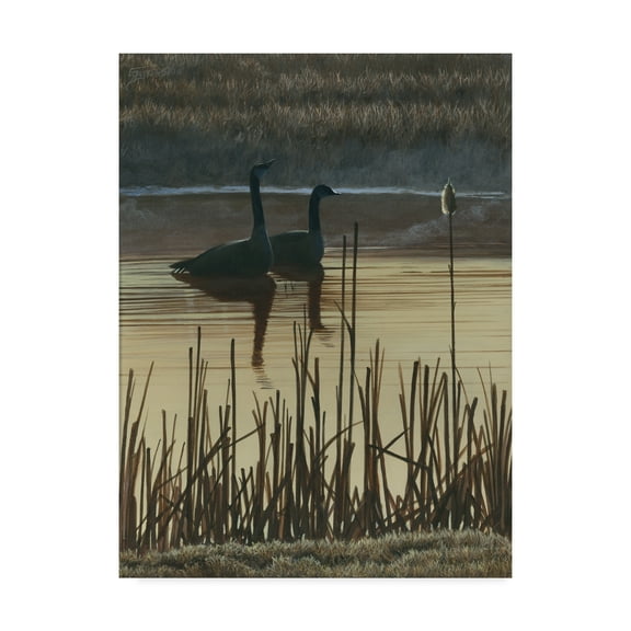 Trademark Fine Art 'First Light Ducks I' Canvas Art by Fred Szatkowski