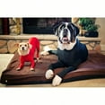 thumbnail image 5 of Couche de Base Extensible pour Chiens Moyens et Grands en Automne et Hiver, 5 of 5