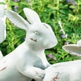 thumbnail image 6 of Saved By A Hare Sculpture Bunny Decor Sculpture Party Decor Gift Statue, 6 of 6