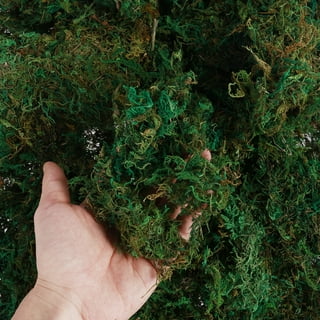 Green Moss for Crafts Natural Artificial Moss Decorative Faux Moss