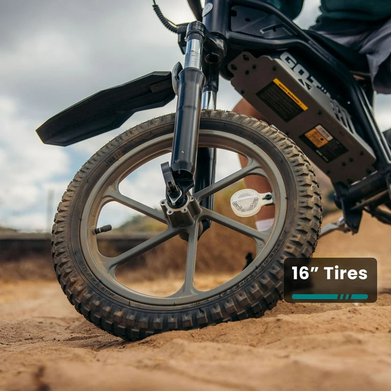Rayk Goetze　レイク・ゲッツェス GOTRAX Fitz16 Electric 350W Dirt Bike for Ages 8+, Red