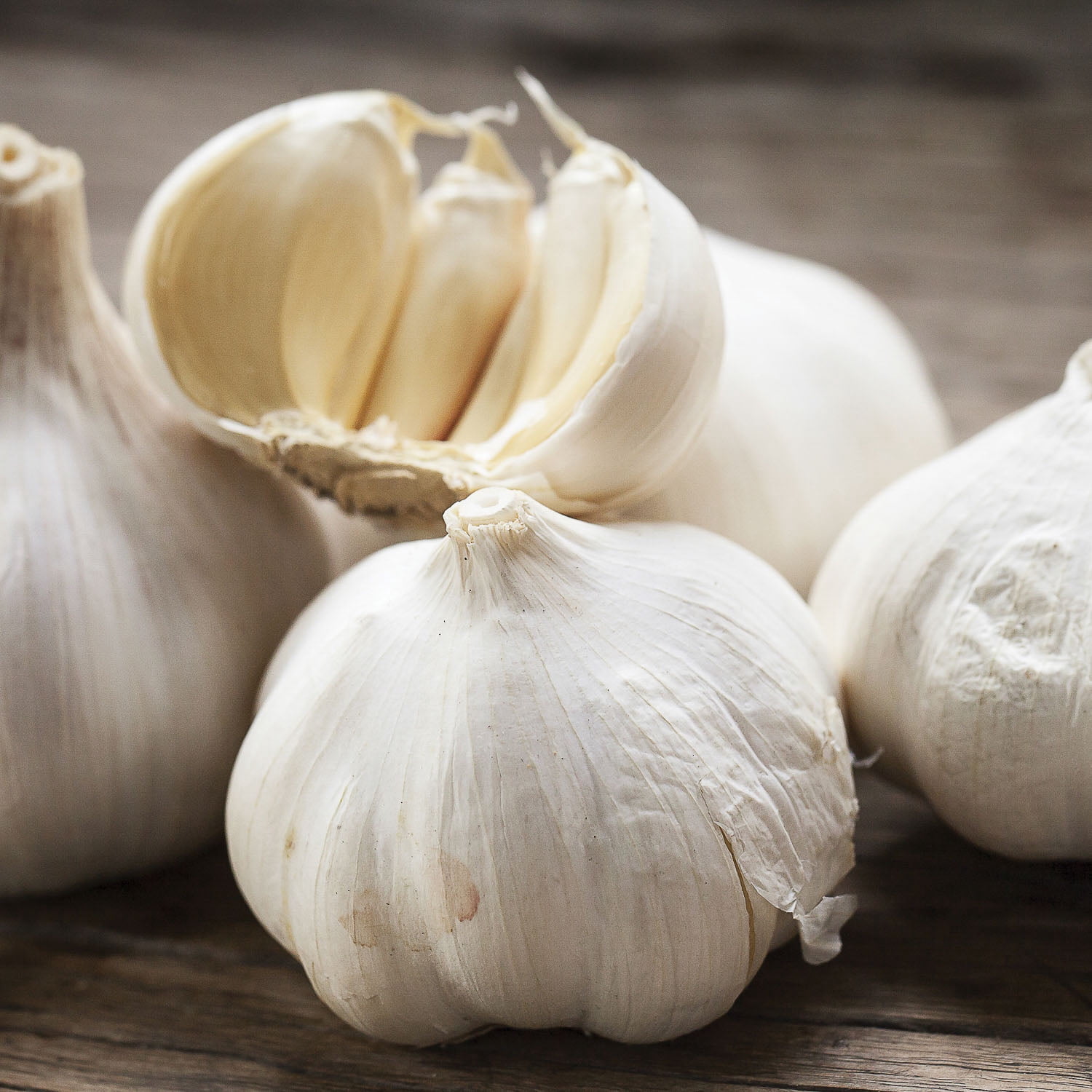 Expert Gardener Set of 3 Dormant Garlic Bulbs for Full Sun Exposure, White Annual