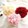 thumbnail image 2 of 6 Branches/Bouquet Mother's Day Gift Artificial Carnations Flowers Home Decor, 2 of 8