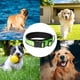thumbnail image 5 of Collar para perros de nailon reflectante con acolchado de neopreno transpirable, ajustable, 5 of 5