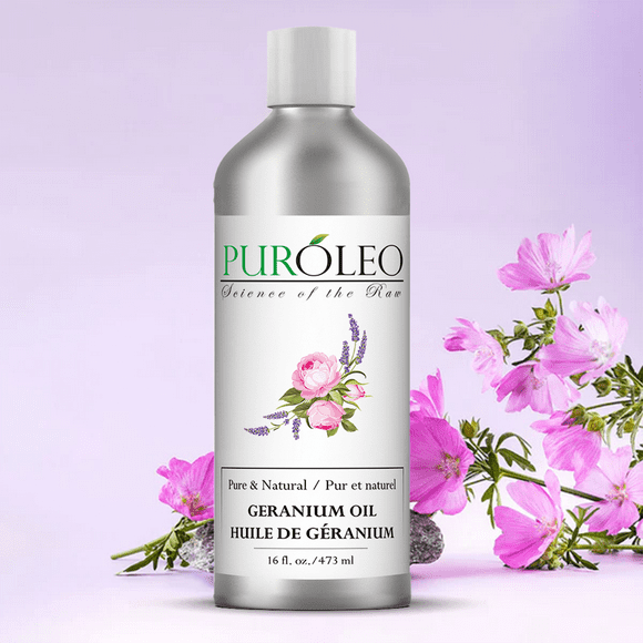 PUROLEO Geranium Essential Oil 16 Fl Oz/473 ML (Packed In Canada) 100% Pure, Natural and Undiluted Aromatherapy Oil for Skin Care and Relaxation - Soothing Floral Scent for Diffuser or Massage