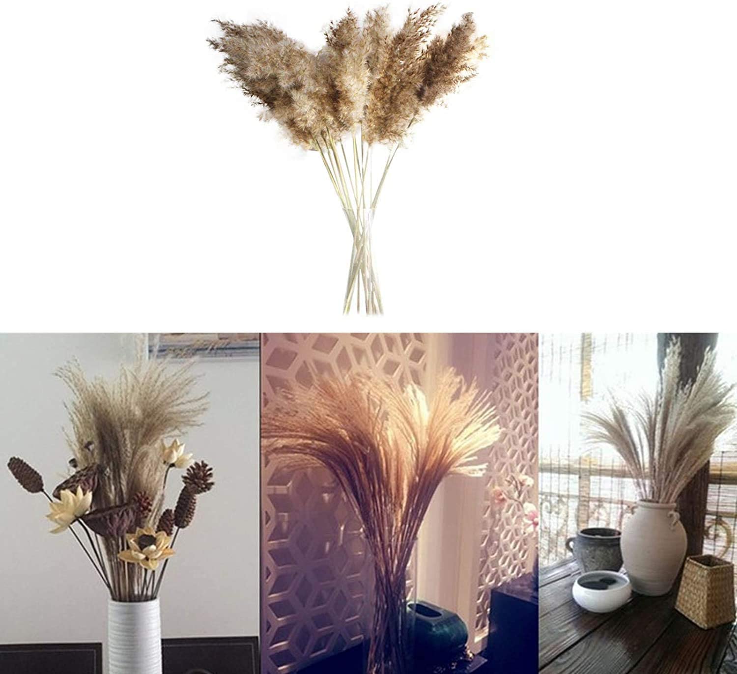 30/50 Pieces Natural Dried Pampas Grass Reed Grass Plume,Dried Flower Phragmites  Communis For Diy Home Kitchen Wedding Flower Arrangements Home Decor,19.6  Inch (30Pcs) | Walmart Canada
