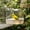 White-Free Size/WH, variant on Hanging Bird Bath Box Parrot Cage Non Slip Bathing Tub with Splash Guard for Cockatiel Budgie Indoor