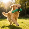 thumbnail image 5 of Indestructible -Free Rubber Chew Toothbrush Stick for Aggressive Chewers - Tough Teeth Cleaning Toy Suitable Small Medium Large Dogs and Puppies Teething, 5 of 6