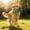 Green - 13CM, variant on Dog Chew Stick 5.1" Wear Resistant Play Bite Toy Flexible Entertainment Accessory for Small Medium Large Dog Puppy Red