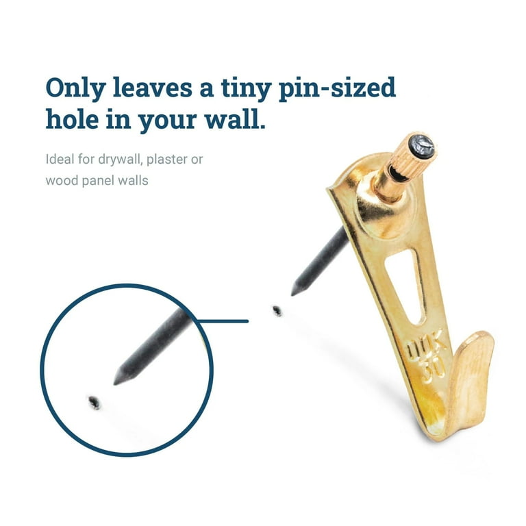 Picture Hang Solutions Brass Picture Hook with Nails 30-lb