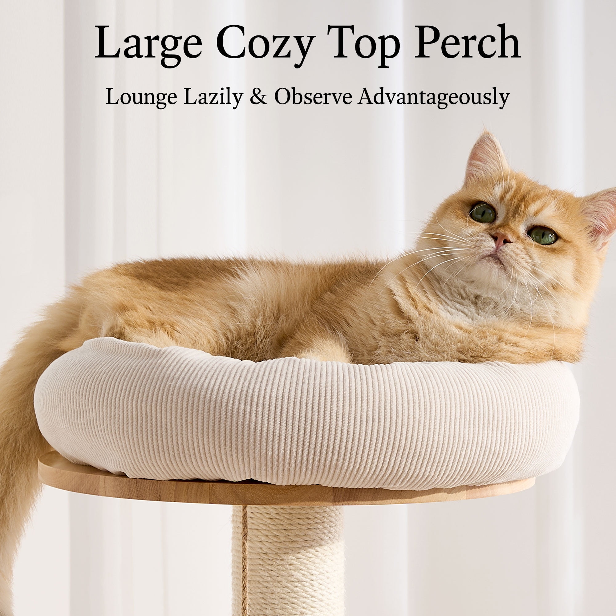 797Audio Solid Wood Cat Tree, 61" Large Modern Tall Cat Tower with Sisal Scratching Posts, Cat Condo, Capsule and Ladder, Aesthetic Multi-Level Cat Climbing Tree for Large Adult Indoor Adult Cats