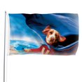 thumbnail image 1 of Underdog Bandera impresa con temática, regalo perfecto para fanáticos, amigos y familiares, y adecuada para actividades al aire libre e interiores, decoraciones de fiesta. 90 cm × 150 cm., 1 of 6