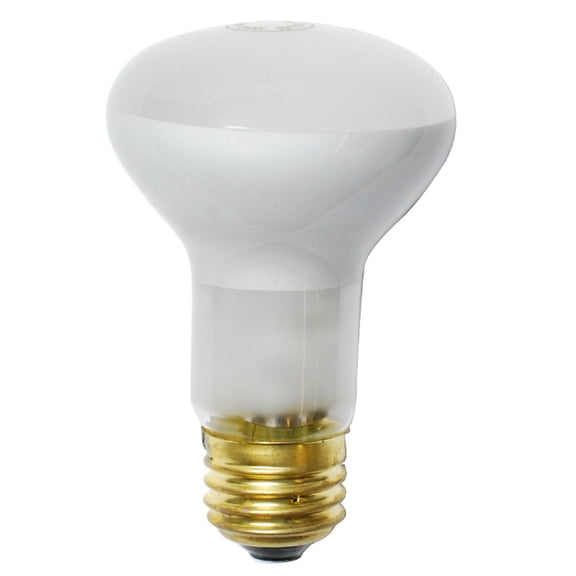 Platinum 28W 120V R20 Flood Halogen Bulb