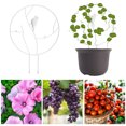 thumbnail image 3 of Equipo de protección y soporte de la planta,Enrejado de plantas creativas, enrejado de jardín, rejilla de escalada de plantas antioxidantes de metal para enredaderas, plantas de interior, flores de hi Muyoka Hogar, 3 of 6