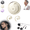 White, variant on T26 Pro Wireless Bluetooth Ai Translation Earbuds, Hy-T26 Pro Wireless Bluetooth Translation Earbuds, Hy-T26 Pro, Ai Hy T26 Pro, High Precision Ai Headphones Language, Supports 75 Languages (Black)