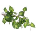 thumbnail image 1 of IFANLANDOR Lizard Box Plants Decor Fake Plant Ornament Light Green Plastic 1Pack, 1 of 7