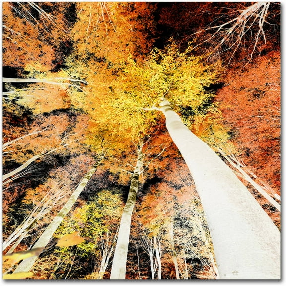 Trademark Fine Art "Damn Nation" Canvas Art by Philippe Sainte-Laudy