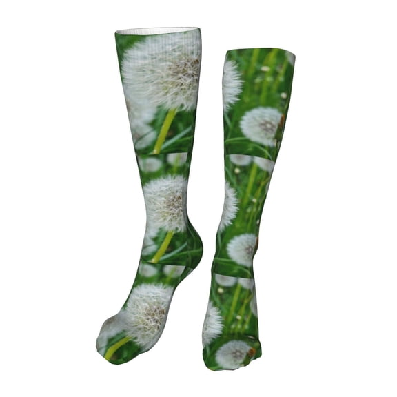 Xecao Dandelion Flower In The Meadow Print Calf Socks Seamless Toe, Knee High Long Socks, Sports Socks Trouser Socks for Women and Men-One Size