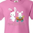 thumbnail image 4 of Inktastic I'm a Big Sister Youth T-Shirt, 4 of 5