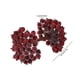 thumbnail image 3 of Bayas de Acebo Artificiales escarchadas Xihbxyly Minifrutas Navideñas Falsas Decoración de flores 12 mm, 3 of 6