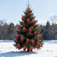 thumbnail image 5 of Juego de adornos para árboles de Navidad | 6pcs 9.3cm Colgantes de bola de plástico para decoración navideña, decoraciones colgantes ligeras, irrompibles, rojo y dorado, exhibición festiva para el, 5 of 7