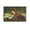 Unframe-style, variant on Diego Rivera 《The Flower Vendor》 Wall Art Prints Paintings Canvas Poster Painting On Canvas Wall Art Poster Scroll Picture Print Living Room Walls Decor Home Posters 16x24inch(40x60cm)