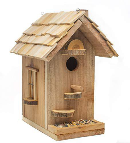 Woodshop Birdhouse 5 Year Old Child Project Perfect Inside Activity Gift 