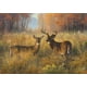 thumbnail image 1 of Puzles Abraham Hunter Proud de Buffalo Games de 300 piezas, 54 x 38 cm, 1 of 8