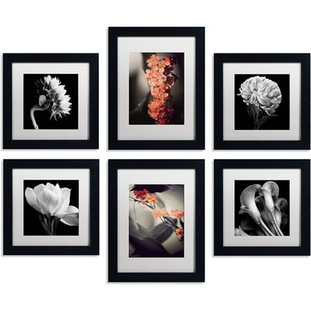6 Piece Wall Art Set Trademark Fine Art Floral Gallery Four 11