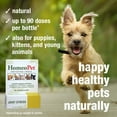 thumbnail image 4 of HomeoPet Joint Stress Joint Health Supplement Solution for Pets, 15-Milliliter Bottle, 4 of 8