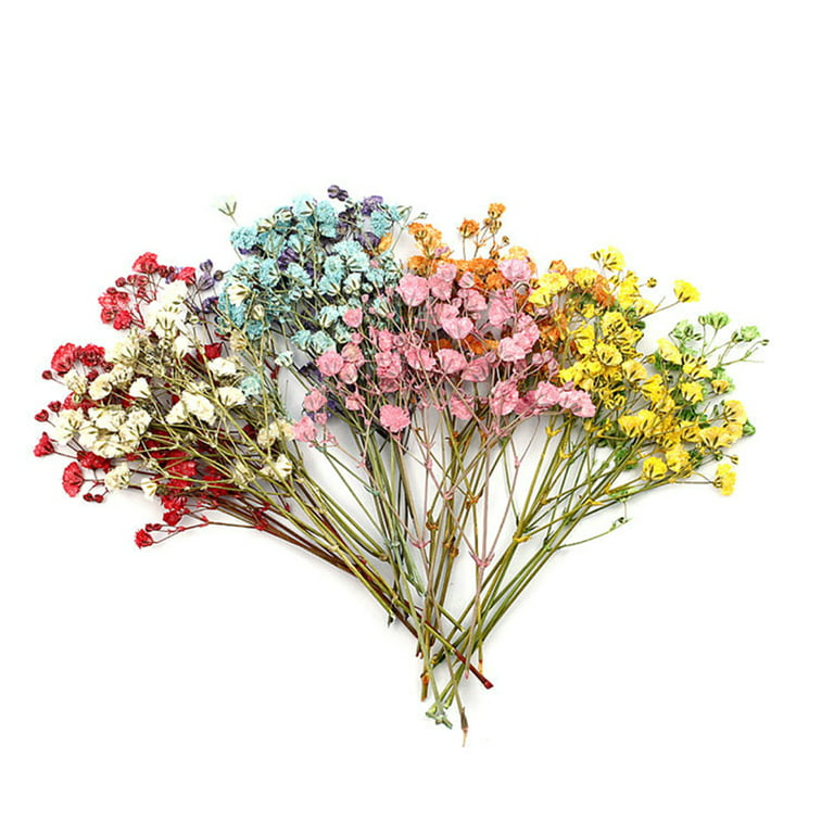 Hydrangea Artificial Flowers, Gypsophila Paniculata, Dried Flower Dry  Plants for Aromatherapy Candle, Premium Dried Pressed Leaves and Flowers