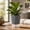 🌺Black_New#196, variant on Self Watering Planter Pot with Reservoir, Modern Geometric Plastic Flower Pot for Indoor Houseplants, Succulents, Herbs, Office Decor