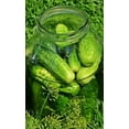 thumbnail image 4 of Boston Pickling Cucumber Seeds/ Annual/ Full Sun/240 Seeds 1/4 oz/ Zellajake Farm and Garden - B92, 4 of 5