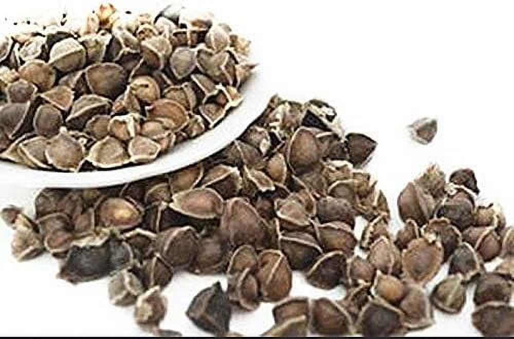 100 Moringa Seed - Oleifera Drumstick Seeds Non-gmo For Sprouting 